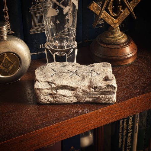 Ancient fossil-like artifact with Masonic symbols on a wooden shelf.